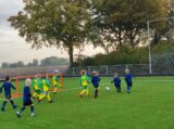 S.K.N.W.K. JO7-1 - Colijnsplaatse Boys JO7-1 (oefen) najaar seizoen 2022-2023 (42/103)
